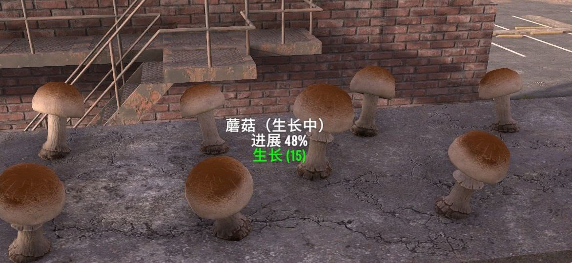 V1.0 植物生长信息（已汉化）-七日杀中文站