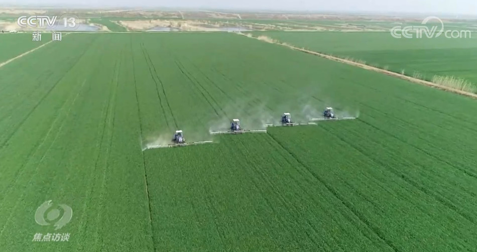 同志的头像-七日杀中文站