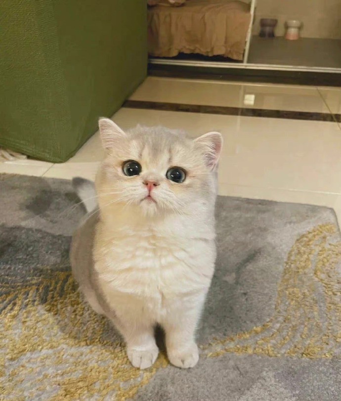 冰与火之歌的头像-七日杀中文站